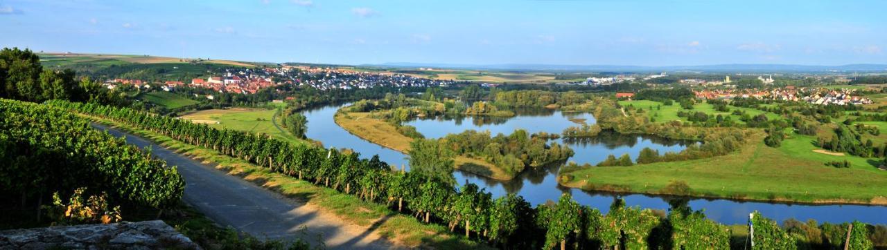 Aparthotel Alte Schmiede Dettelbach Buitenkant foto