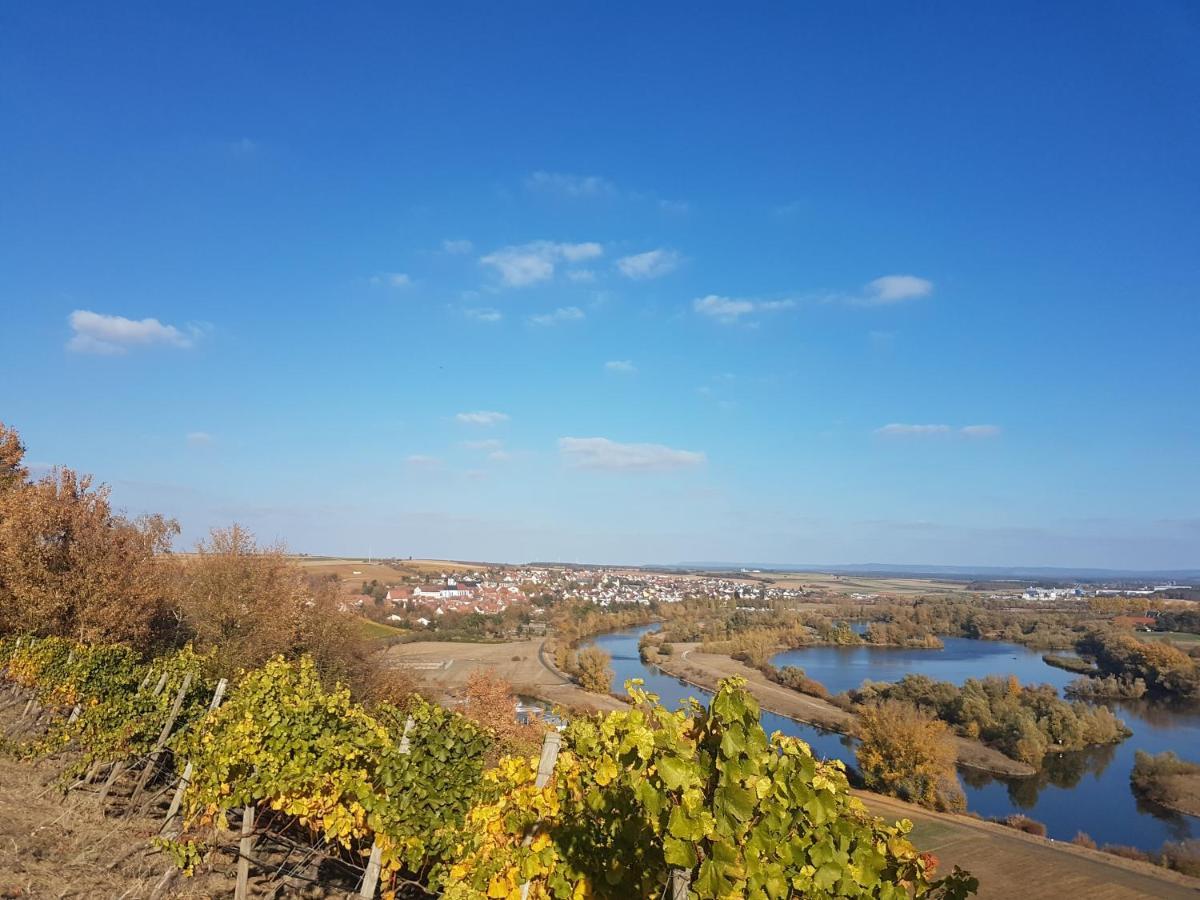 Aparthotel Alte Schmiede Dettelbach Buitenkant foto